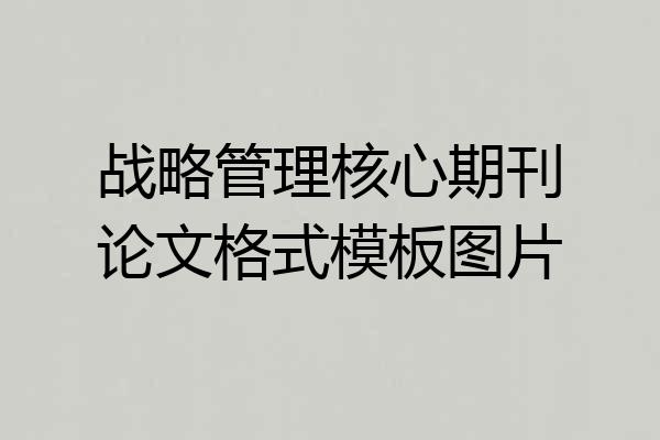 战略管理核心期刊论文格式模板图片