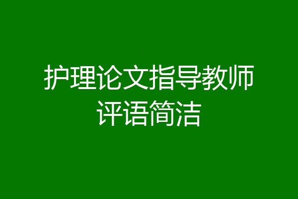 护理论文指导教师评语简洁