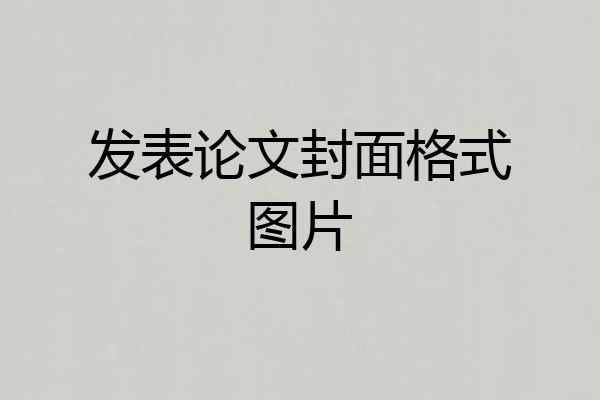 发表论文封面格式图片