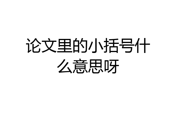 论文里的小括号什么意思呀