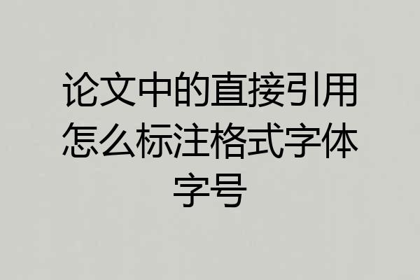 论文中的直接引用怎么标注格式字体字号