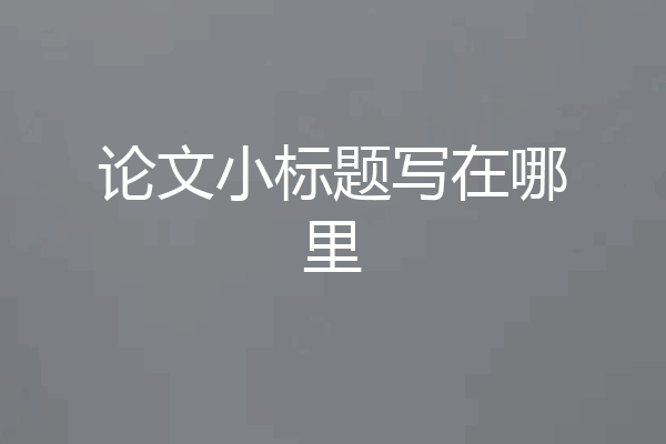 论文小标题写在哪里