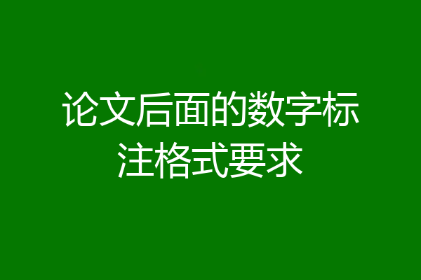 论文后面的数字标注格式要求