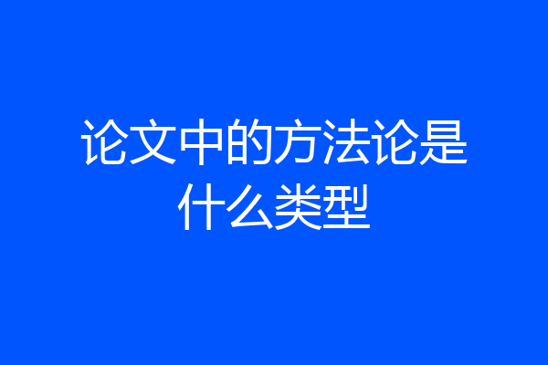 论文中的方法论是什么类型