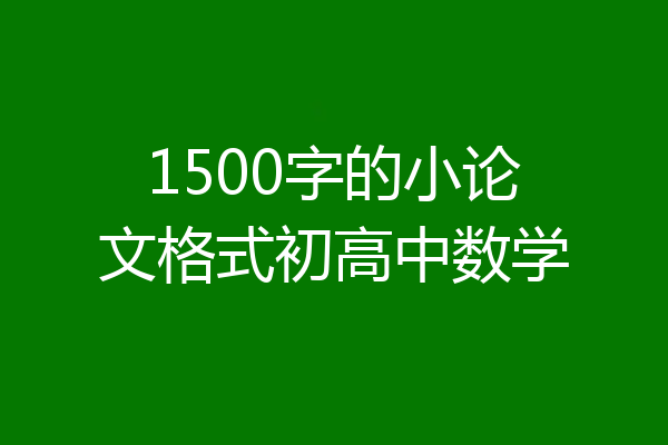 1500字的小论文格式初高中数学