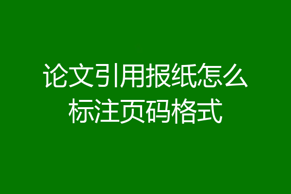 论文引用报纸怎么标注页码格式