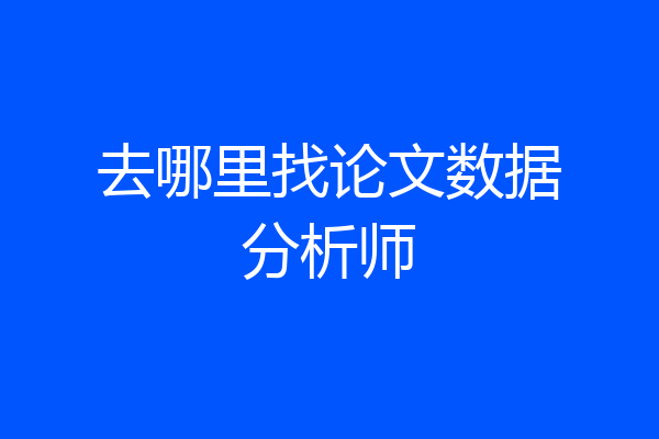 去哪里找论文数据分析师