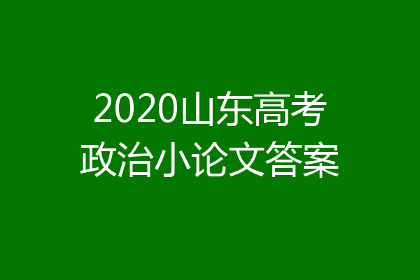 2020山东高考政治小论文答案