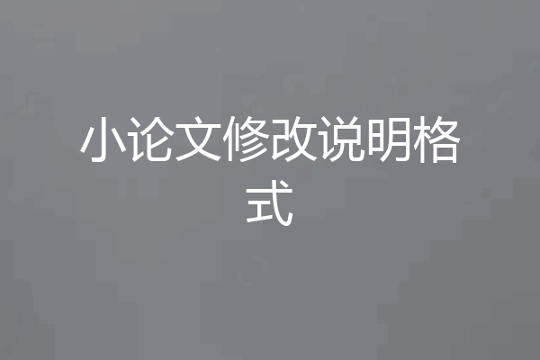小论文修改说明格式