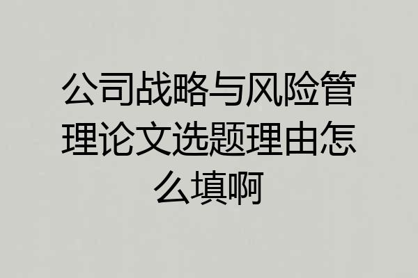 公司战略与风险管理论文选题理由怎么填啊