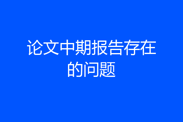 论文中期报告存在的问题