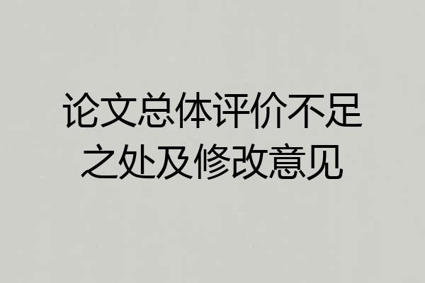 论文总体评价不足之处及修改意见