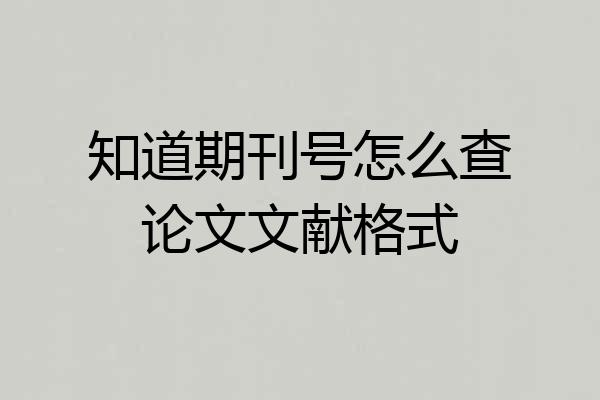 知道期刊号怎么查论文文献格式
