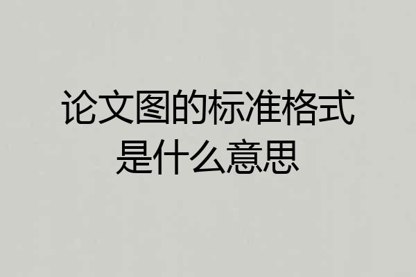 论文图的标准格式是什么意思