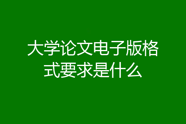 大学论文电子版格式要求是什么