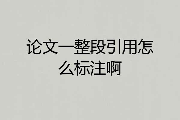 论文一整段引用怎么标注啊
