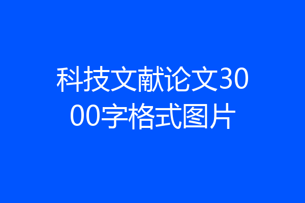 科技文献论文3000字格式图片