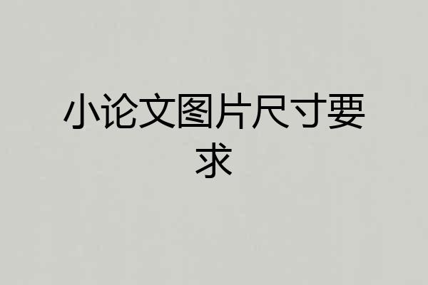 小论文图片尺寸要求