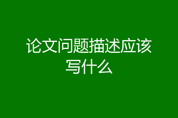 论文问题描述应该写什么