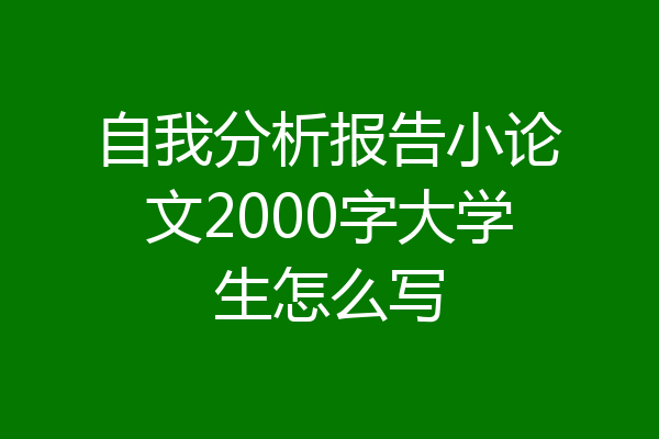 自我分析报告小论文2000字大学生怎么写