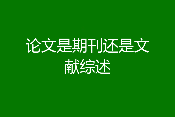论文是期刊还是文献综述