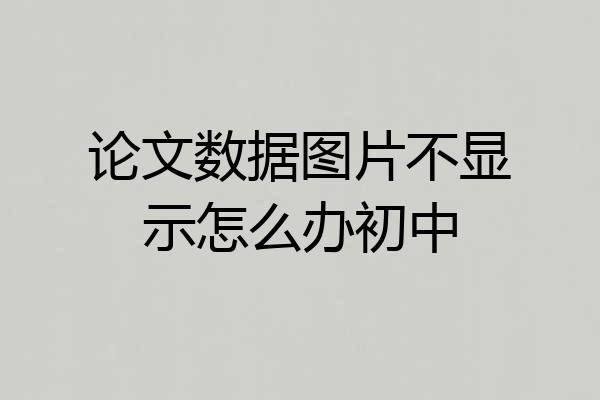 论文数据图片不显示怎么办初中