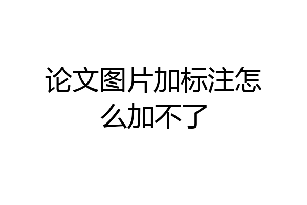 论文图片加标注怎么加不了
