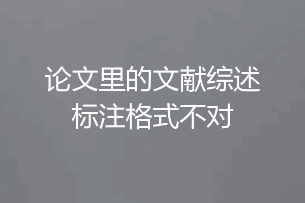 论文里的文献综述标注格式不对
