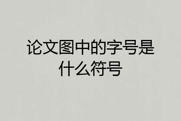 论文图中的字号是什么符号