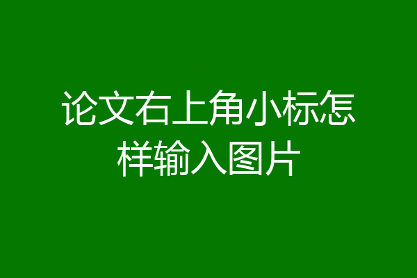论文右上角小标怎样输入图片