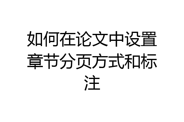 如何在论文中设置章节分页方式和标注