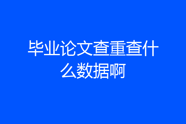 毕业论文查重查什么数据啊