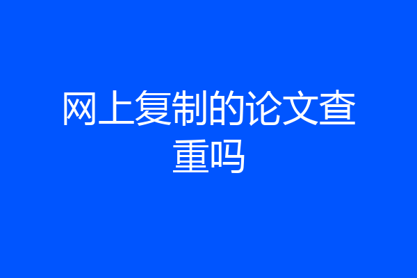 网上复制的论文查重吗