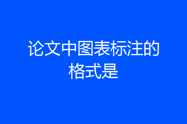 论文中图表标注的格式是