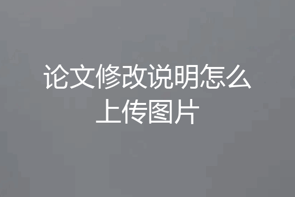 论文修改说明怎么上传图片