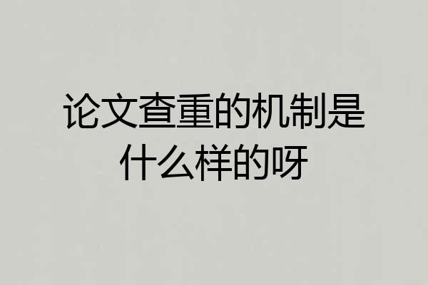 论文查重的机制是什么样的呀