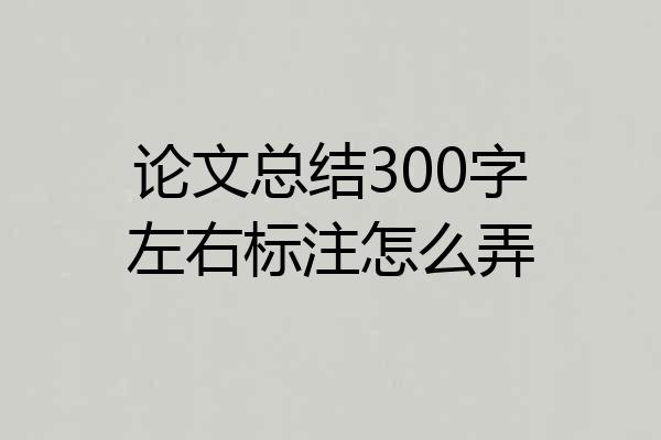 论文总结300字左右标注怎么弄