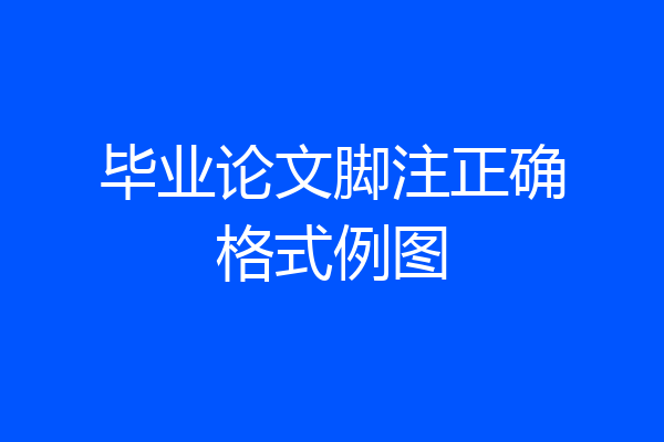 毕业论文脚注正确格式例图