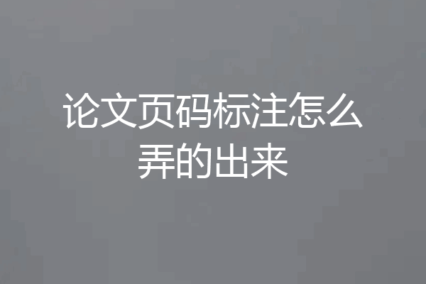 论文页码标注怎么弄的出来