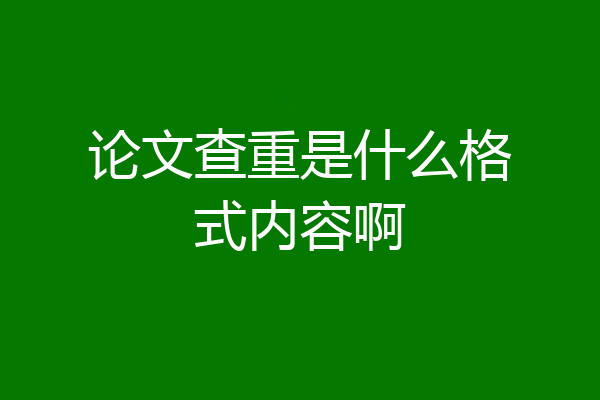 论文查重是什么格式内容啊