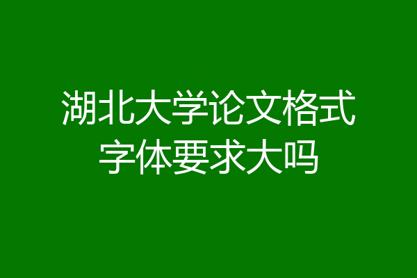湖北大学论文格式字体要求大吗