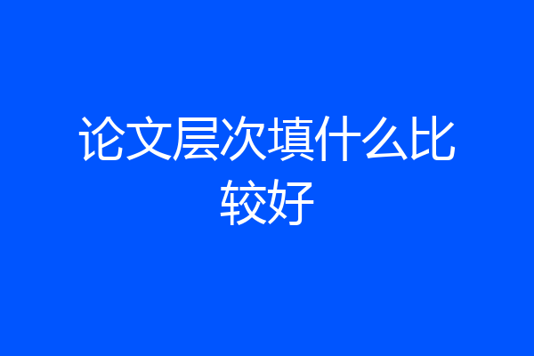 论文层次填什么比较好