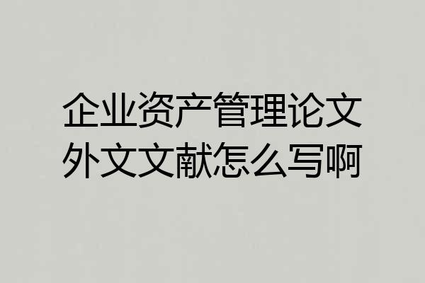 企业资产管理论文外文文献怎么写啊