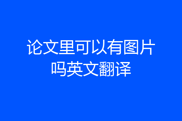 论文里可以有图片吗英文翻译