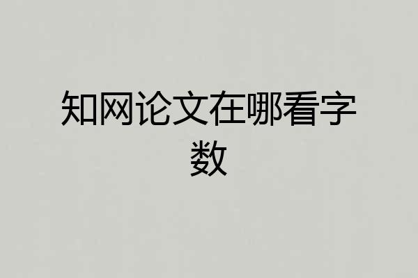 知网论文在哪看字数