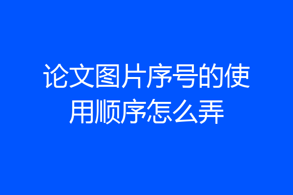 论文图片序号的使用顺序怎么弄