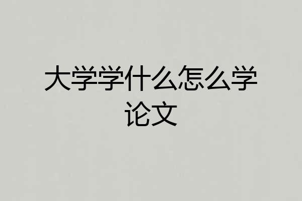 大学学什么怎么学论文