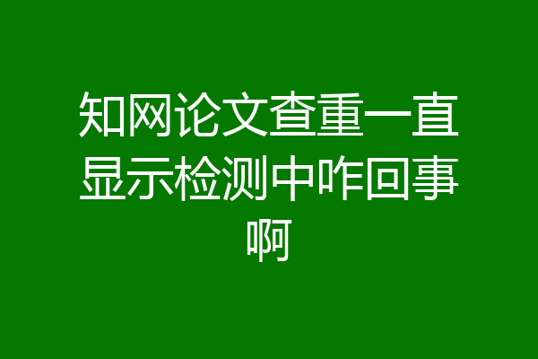 知网论文查重一直显示检测中咋回事啊