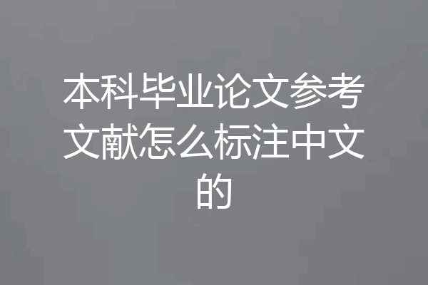 本科毕业论文参考文献怎么标注中文的