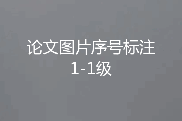 论文图片序号标注1-1级